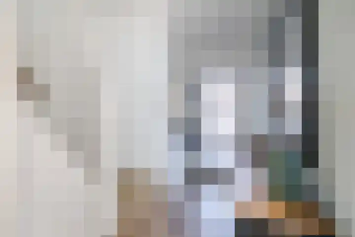 Comm d Vos v Steenwijklaan 72 Meppel thumbnail 10