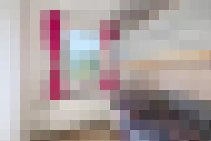Comm d Vos v Steenwijklaan 72 Meppel thumbnail 13