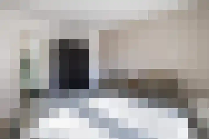Comm d Vos v Steenwijklaan 72 Meppel thumbnail 16