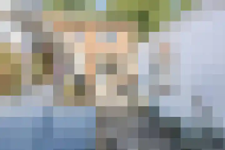 Comm d Vos v Steenwijklaan 72 Meppel thumbnail 25