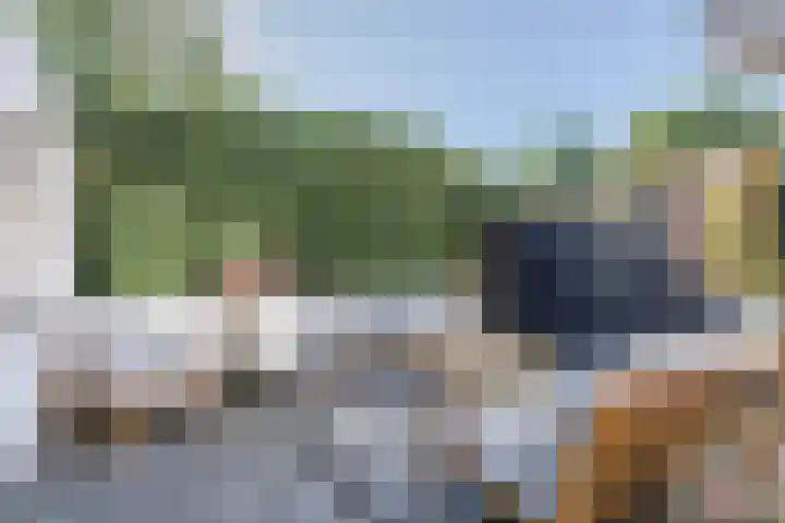 Comm d Vos v Steenwijklaan 72 Meppel thumbnail 26