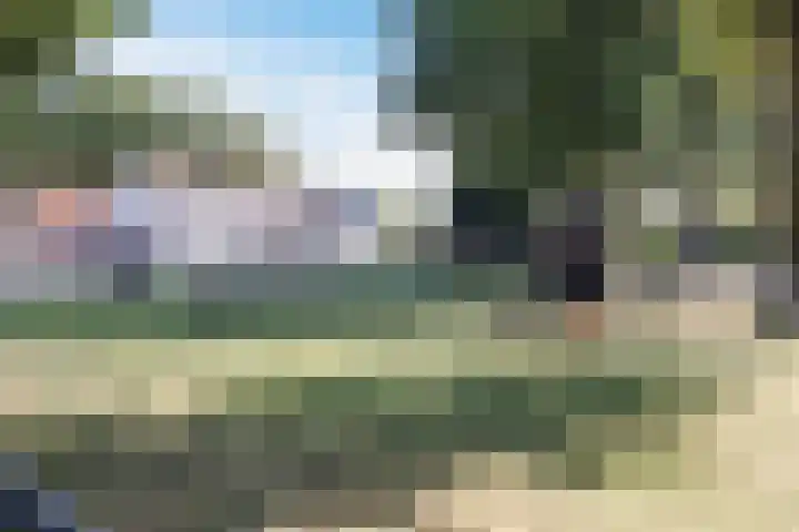 Comm d Vos v Steenwijklaan 72 Meppel thumbnail 29