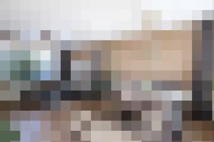 Comm d Vos v Steenwijklaan 72 Meppel thumbnail 5