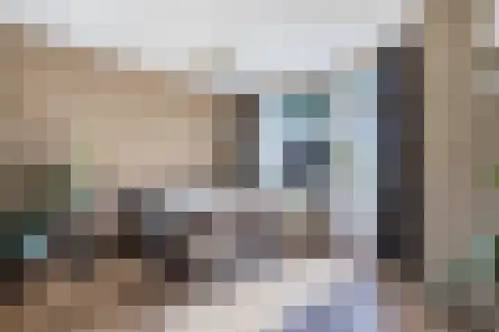 Comm d Vos v Steenwijklaan 72 Meppel thumbnail 6