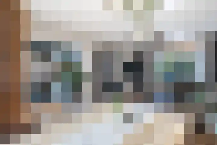 Comm d Vos v Steenwijklaan 72 Meppel thumbnail 7