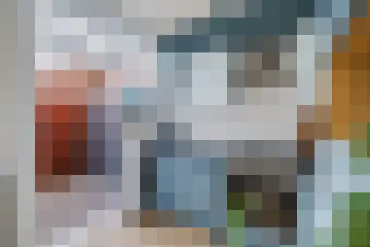 Comm d Vos v Steenwijklaan 72 Meppel thumbnail 8