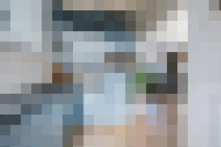 Comm d Vos v Steenwijklaan 72 Meppel thumbnail 9