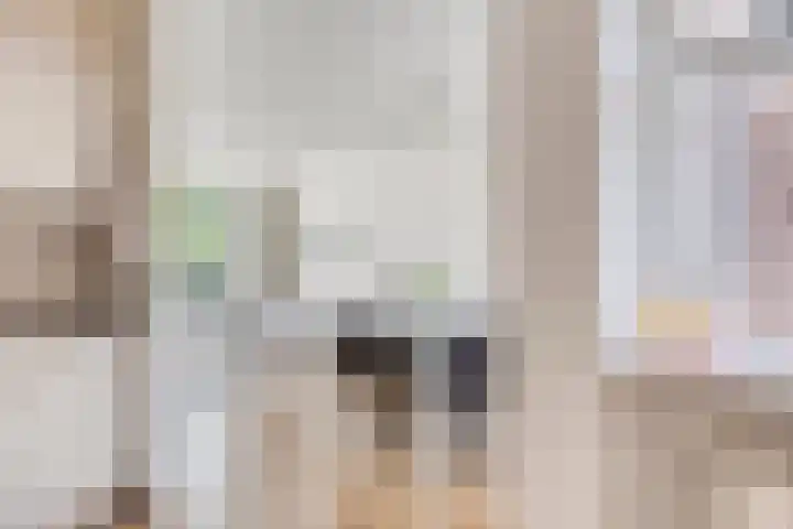 Comm d Vos v Steenwijklaan 95 Meppel thumbnail 12