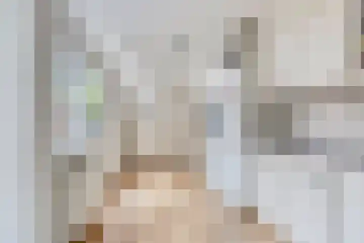Comm d Vos v Steenwijklaan 95 Meppel thumbnail 14