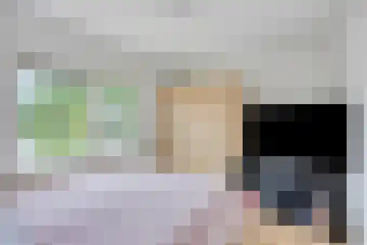 Comm d Vos v Steenwijklaan 95 Meppel thumbnail 15