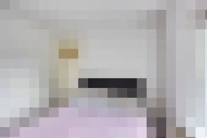 Comm d Vos v Steenwijklaan 95 Meppel thumbnail 16