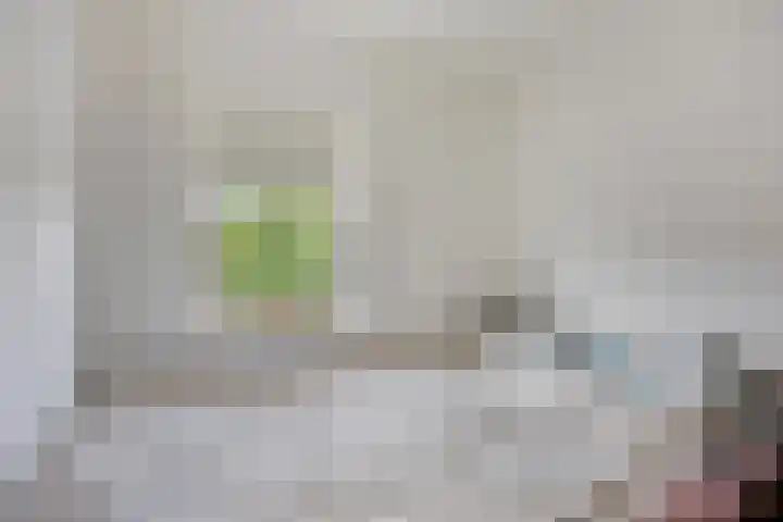 Comm d Vos v Steenwijklaan 95 Meppel thumbnail 17