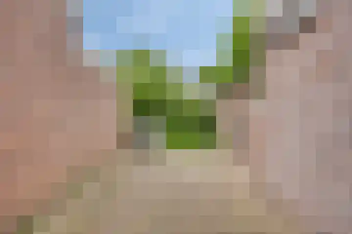 Comm d Vos v Steenwijklaan 95 Meppel thumbnail 21