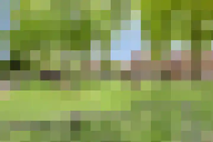 Comm d Vos v Steenwijklaan 95 Meppel thumbnail 25