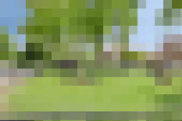 Comm d Vos v Steenwijklaan 95 Meppel thumbnail 26