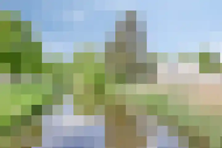 Comm d Vos v Steenwijklaan 95 Meppel thumbnail 27