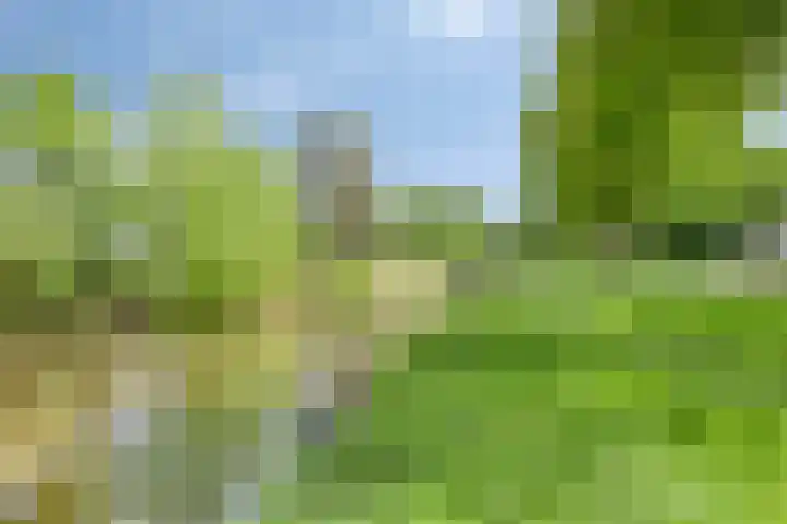 Comm d Vos v Steenwijklaan 95 Meppel thumbnail 28