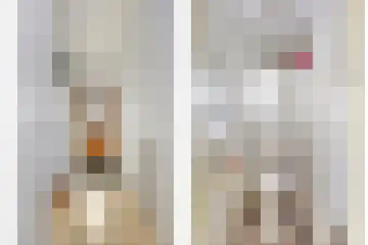 Comm d Vos v Steenwijklaan 95 Meppel thumbnail 5