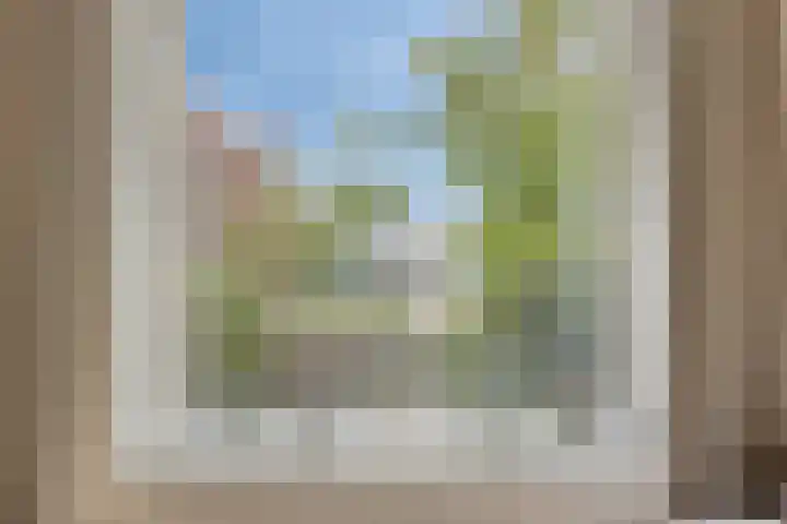 Comm d Vos v Steenwijklaan 95 Meppel thumbnail 8
