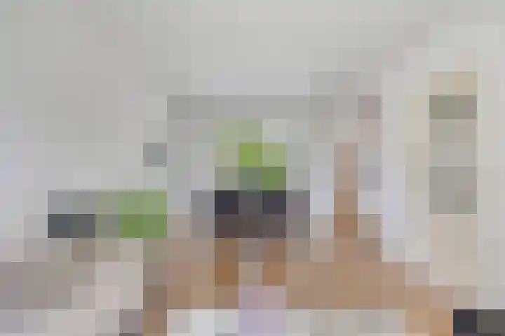 Comm d Vos v Steenwijklaan 95 Meppel thumbnail 9