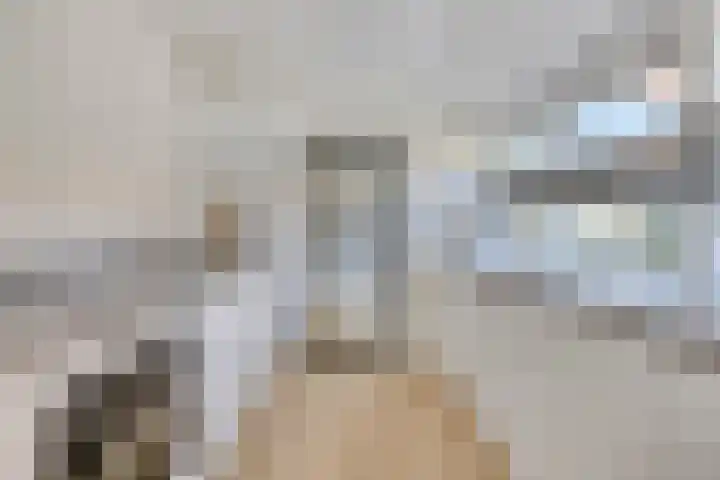 Commanderiestraat 15 Ootmarsum thumbnail 21