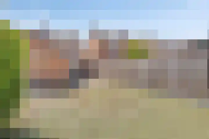 Commanderiestraat 15 Ootmarsum thumbnail 38