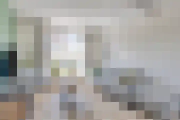 Commanderiestraat 15 Ootmarsum thumbnail 6