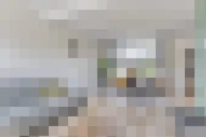 Commanderiestraat 15 Ootmarsum thumbnail 9