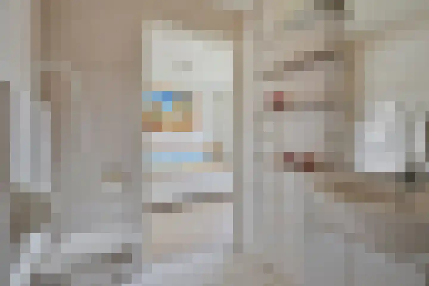 Commanderiestraat 9 Ootmarsum thumbnail 15