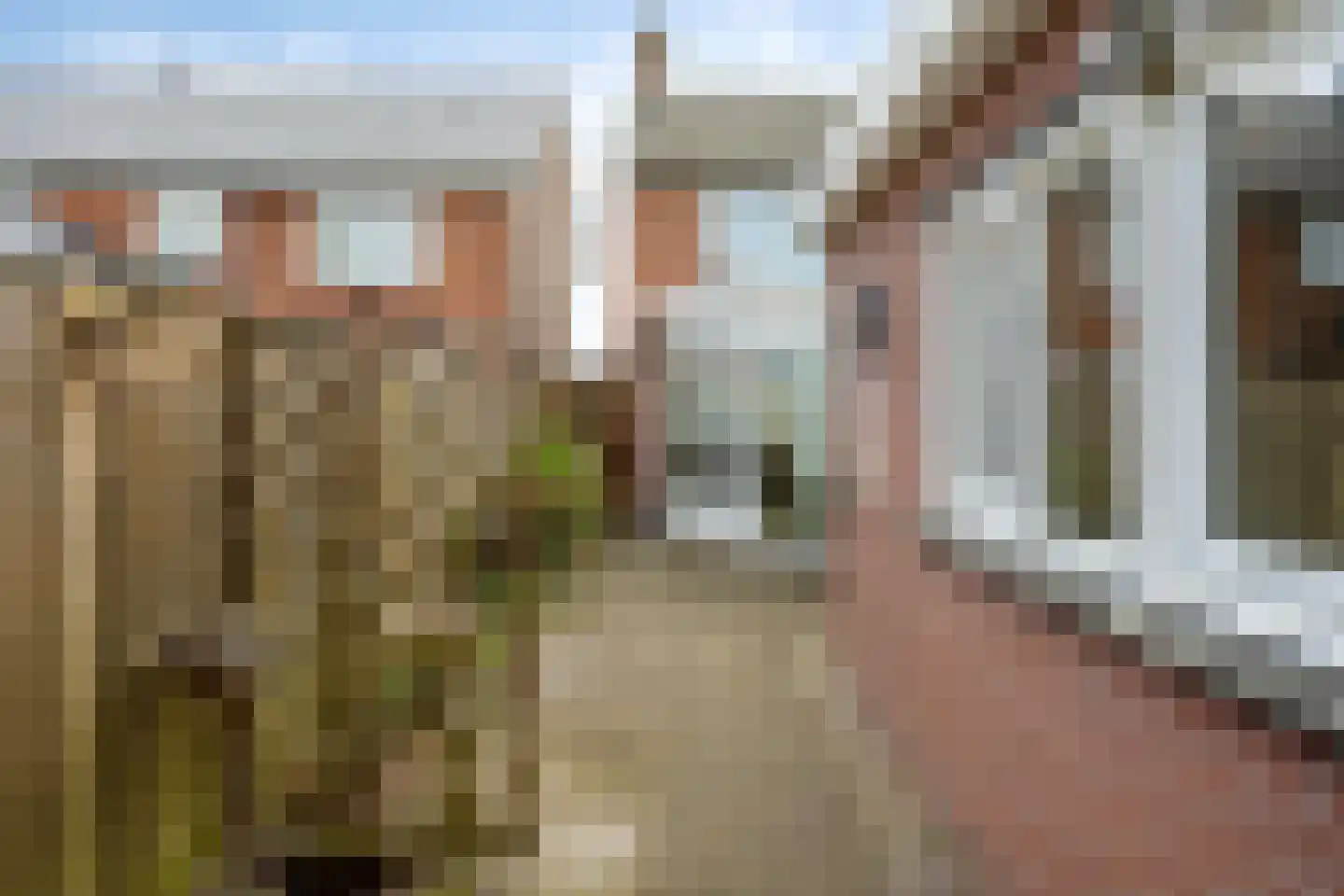 Commanderiestraat 9 Ootmarsum thumbnail 26