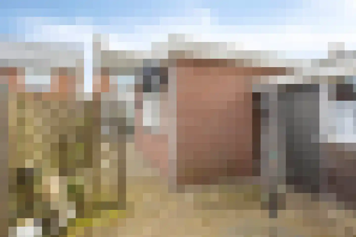 Commanderiestraat 9 Ootmarsum thumbnail 27