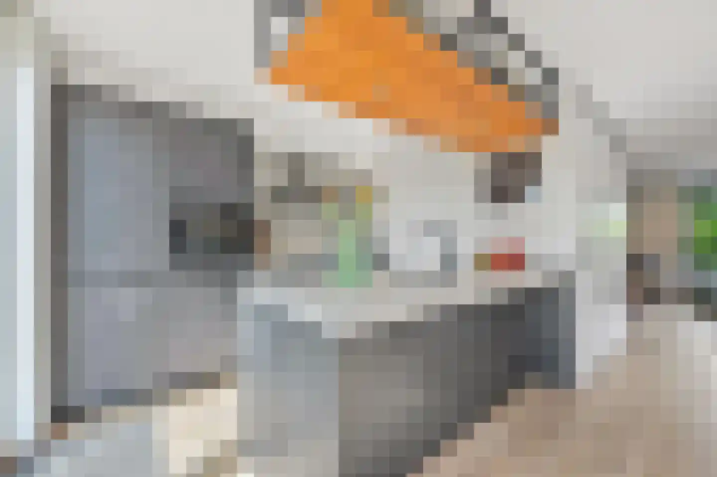 Commanderij 18 Maasland thumbnail 15