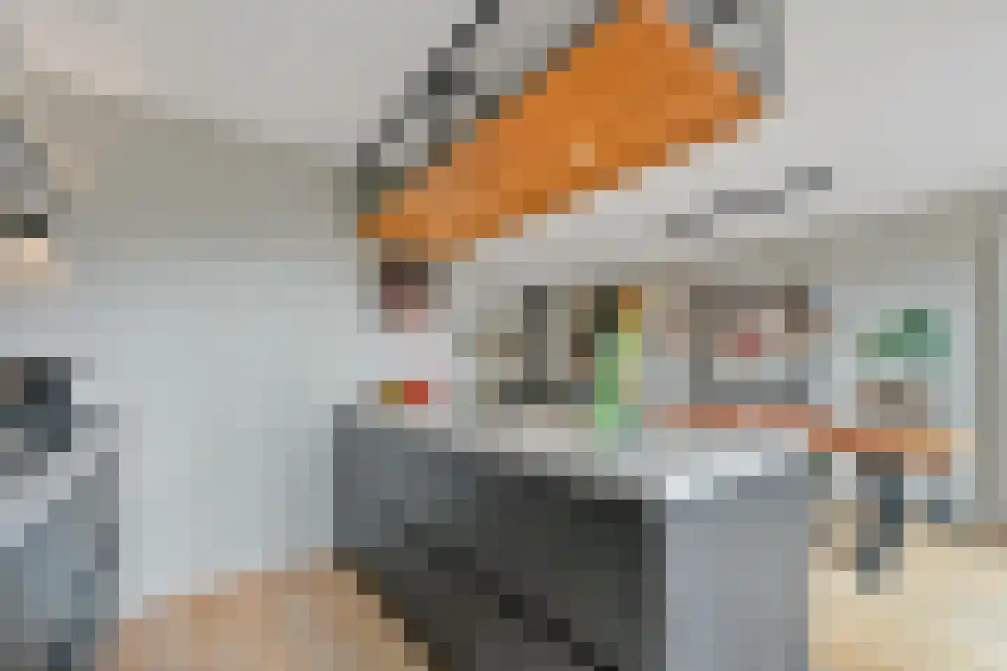 Commanderij 18 Maasland thumbnail 17