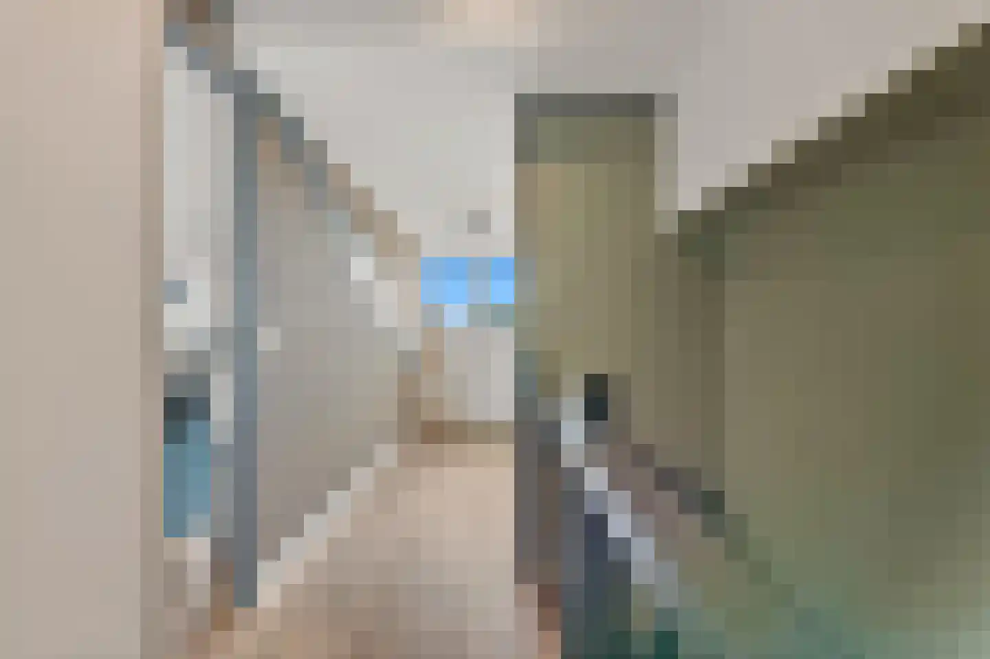 Commanderij 18 Maasland thumbnail 41
