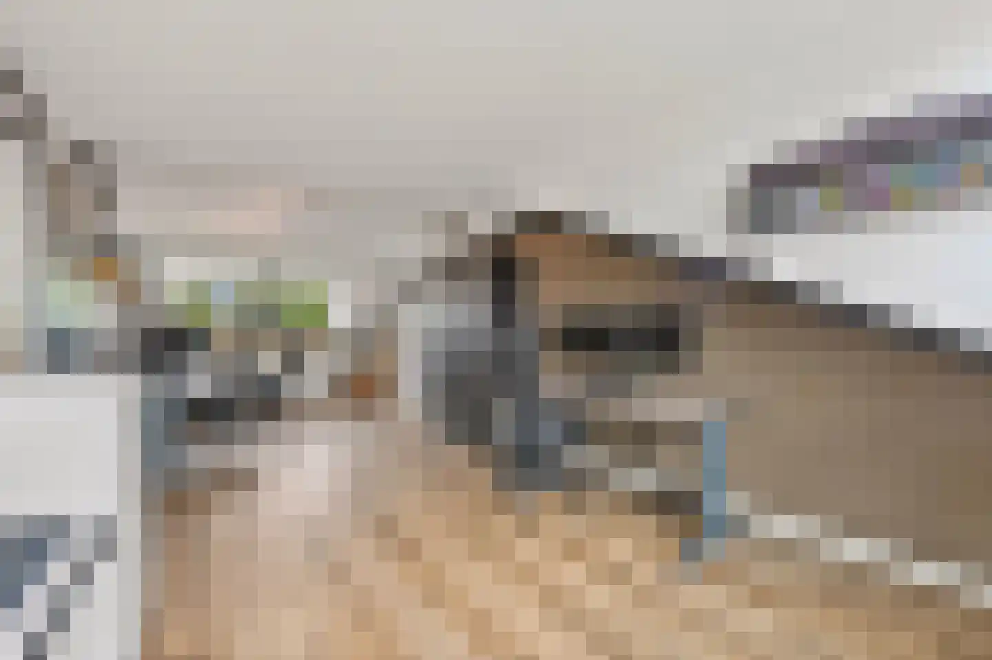 Commanderij 18 Maasland thumbnail 44