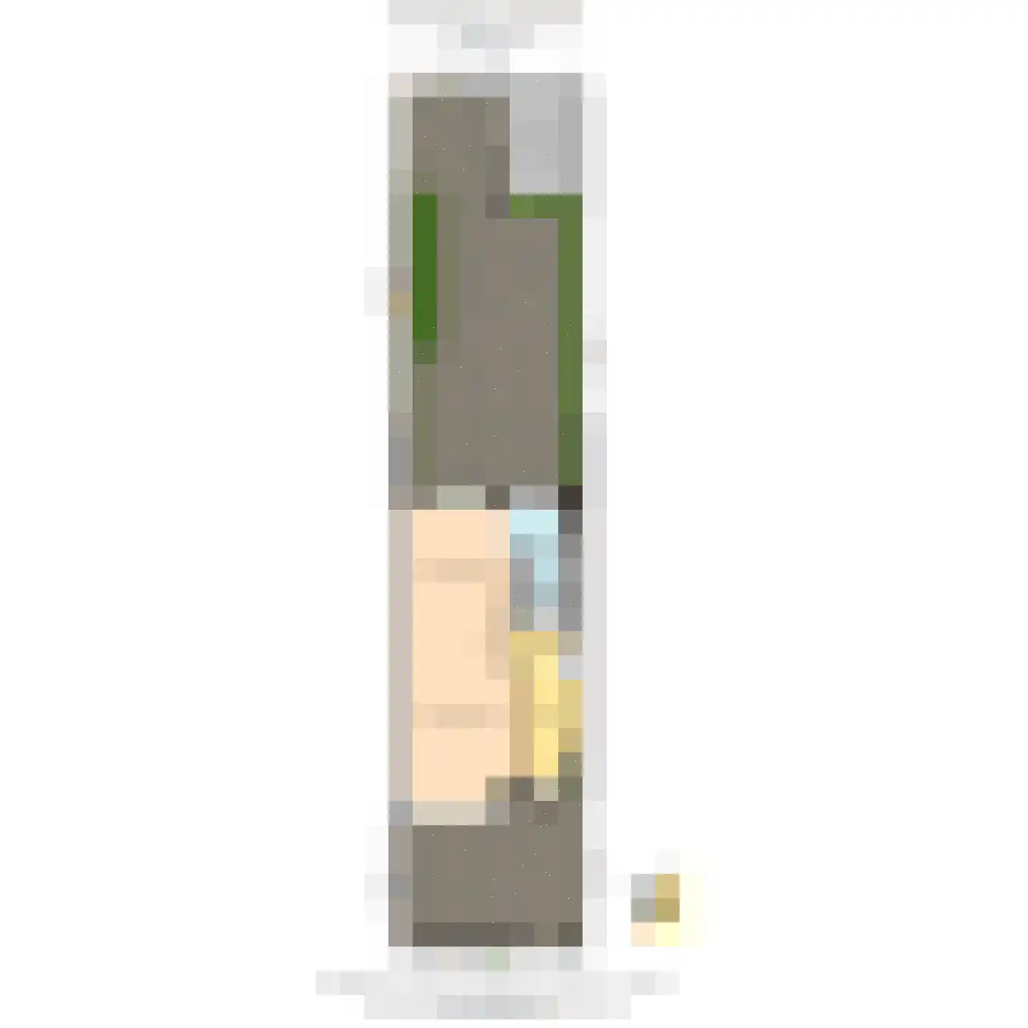 Commanderij 18 Maasland thumbnail 49