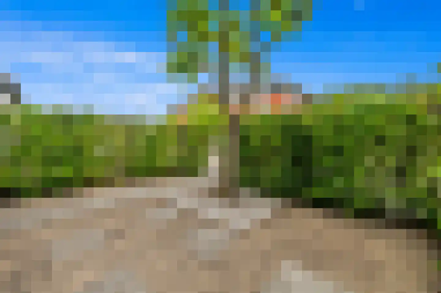 Commanderij 18 Maasland thumbnail 5