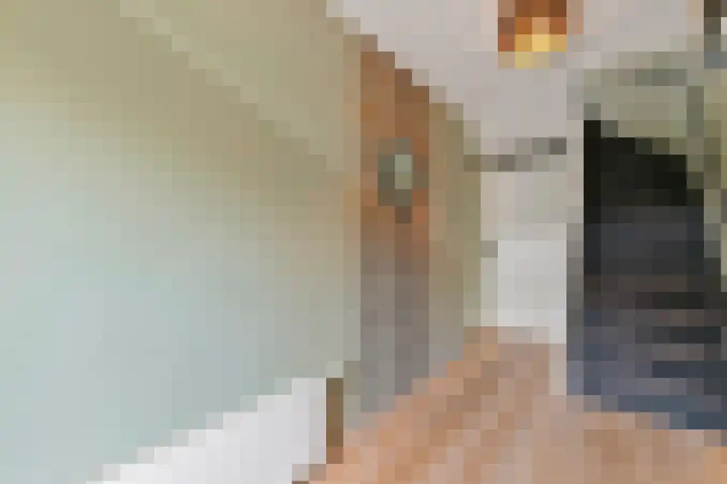 Commanderij 18 Maasland thumbnail 8