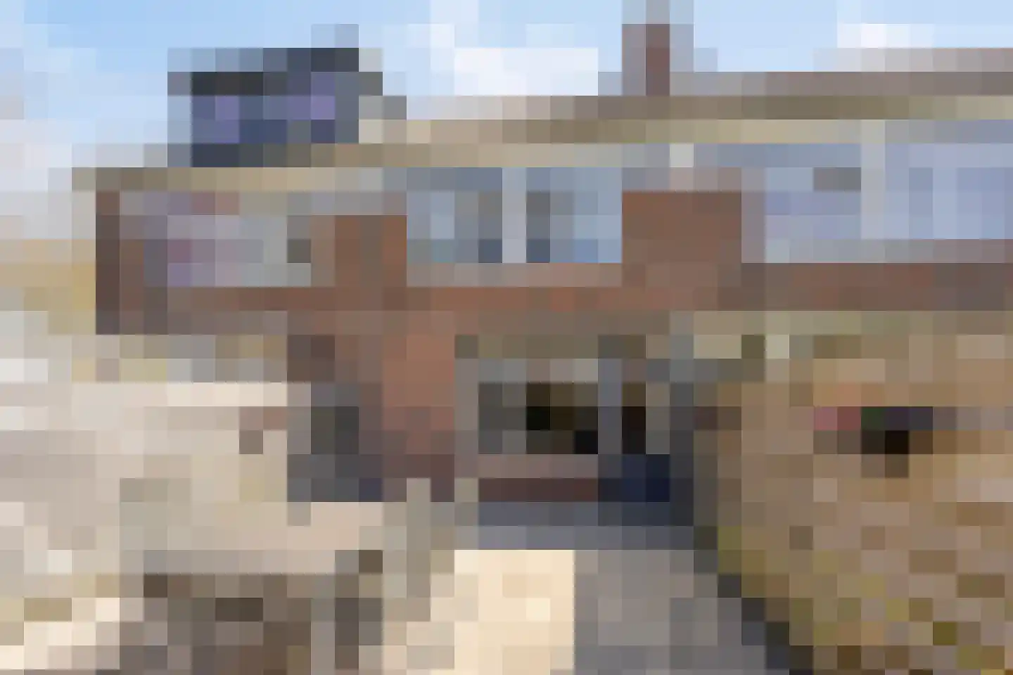 Commanderij 22 Sneek