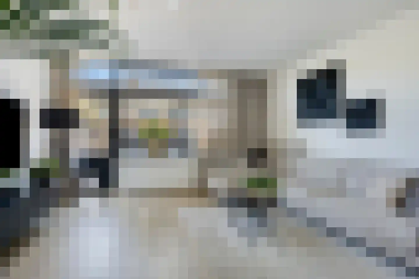 Commanderij 22 Sneek thumbnail 11