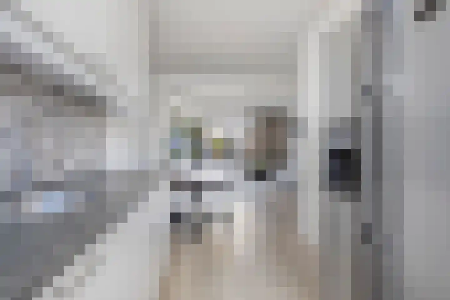 Commanderij 22 Sneek thumbnail 14