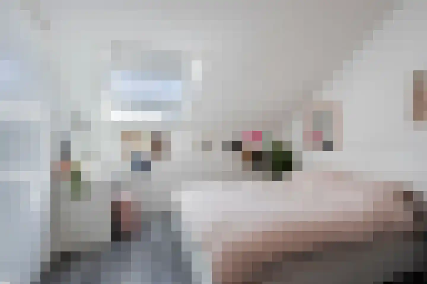 Commanderij 22 Sneek thumbnail 22