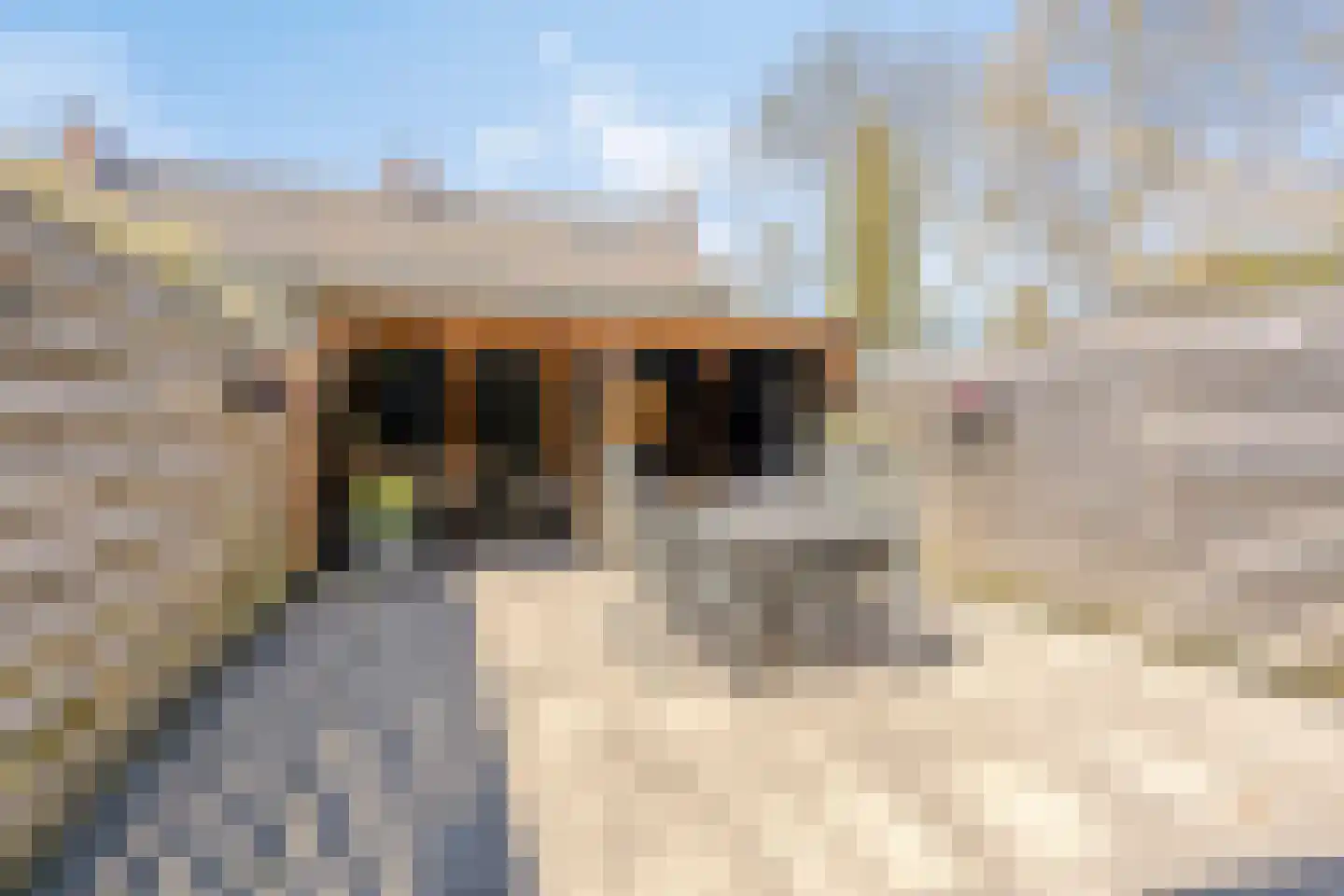 Commanderij 22 Sneek thumbnail 25