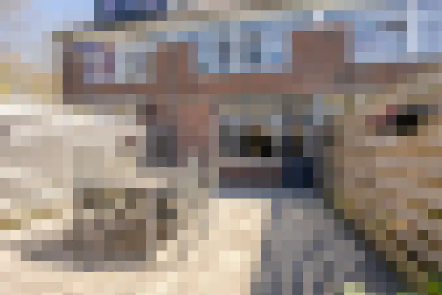 Commanderij 22 Sneek thumbnail 28