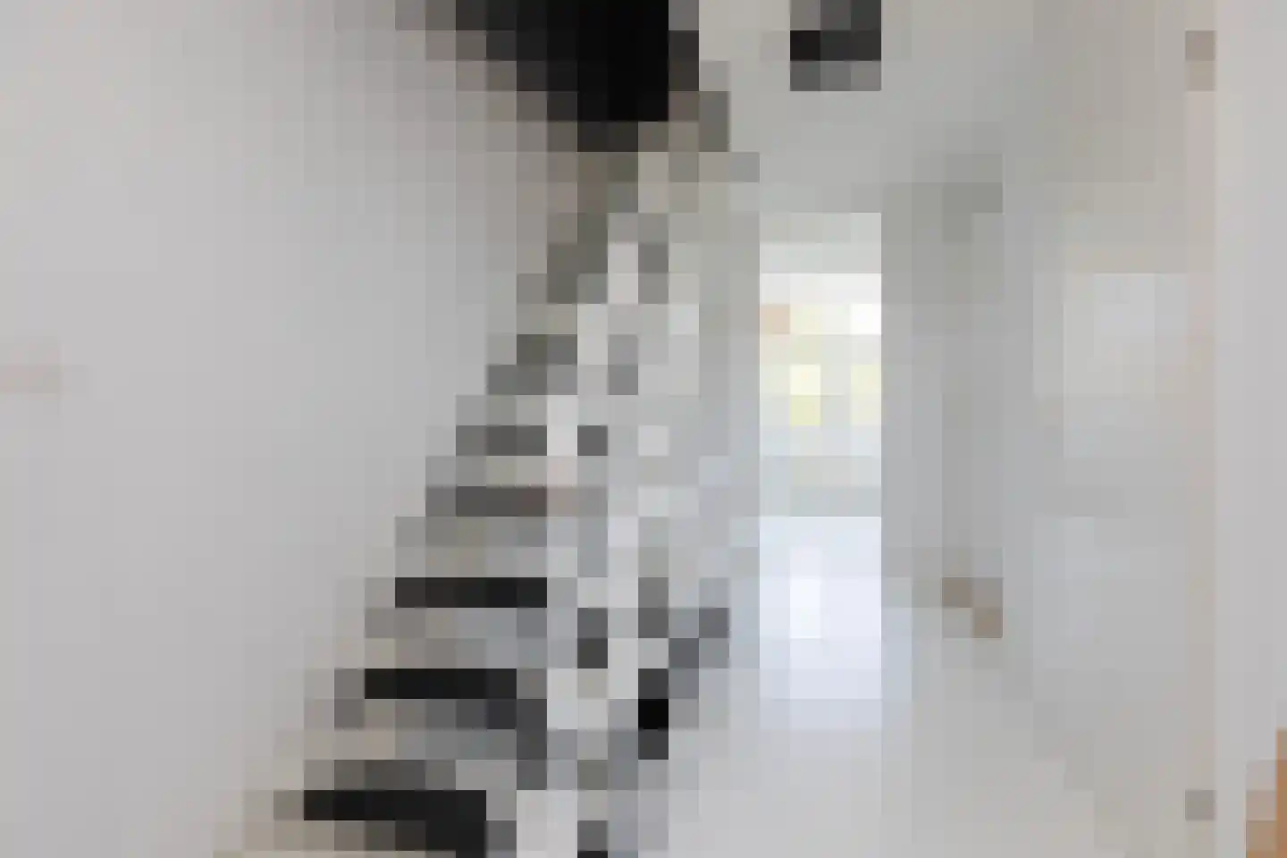 Commanderij 51 Sneek thumbnail 23