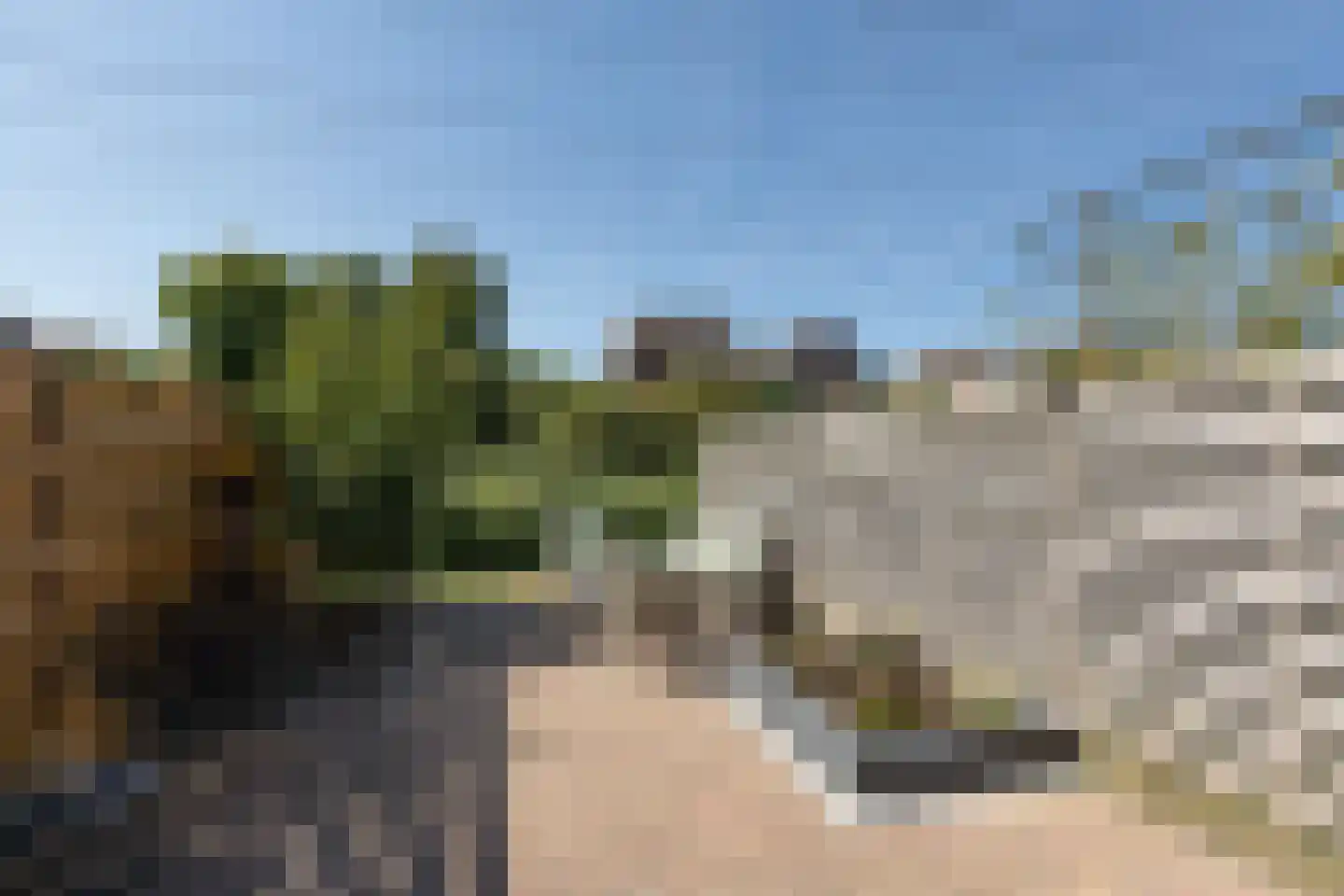Commanderij 51 Sneek thumbnail 30