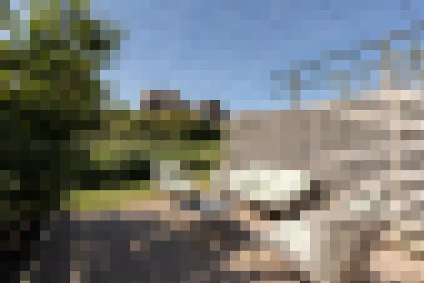 Commanderij 51 Sneek thumbnail 32