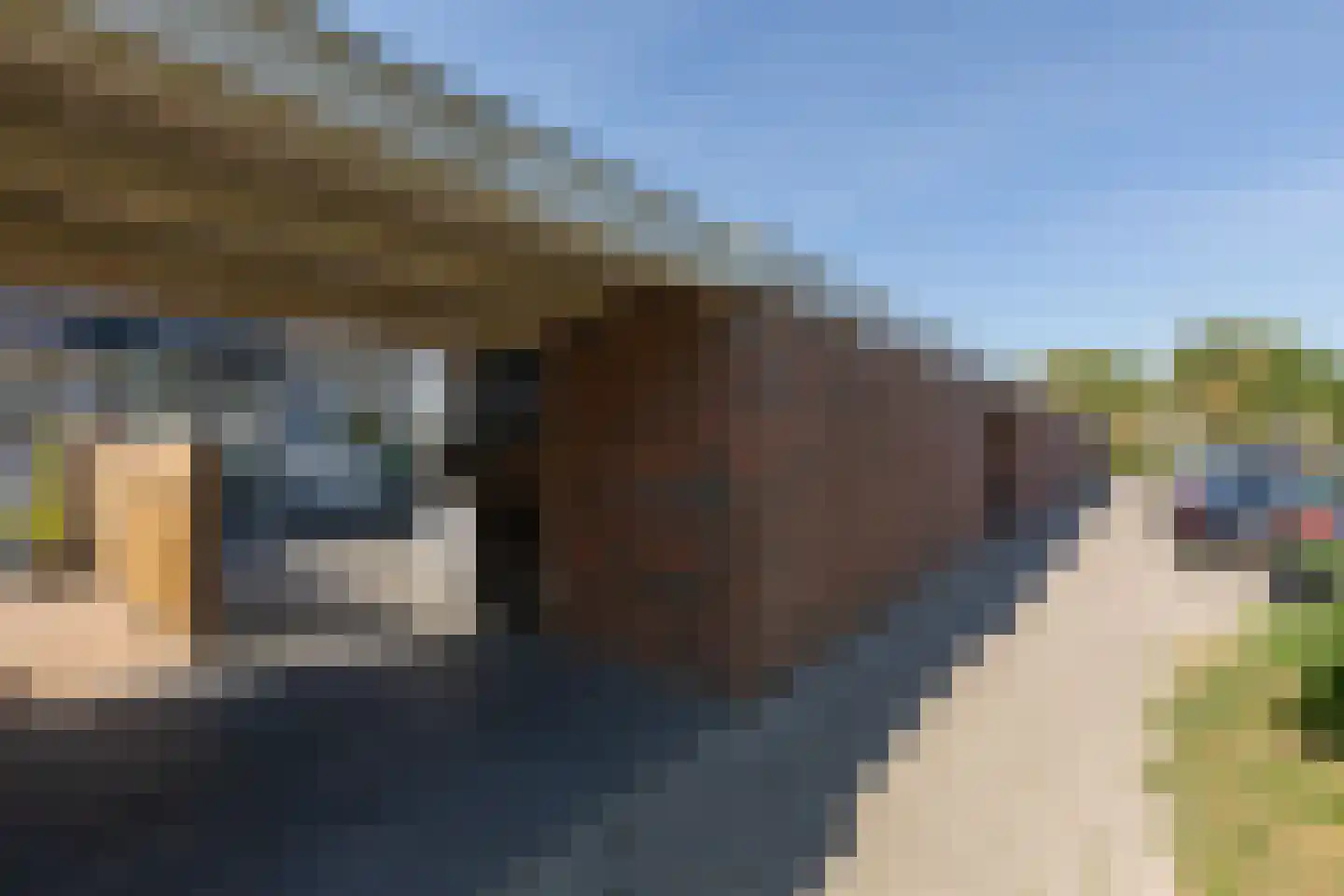 Commanderij 51 Sneek thumbnail 40