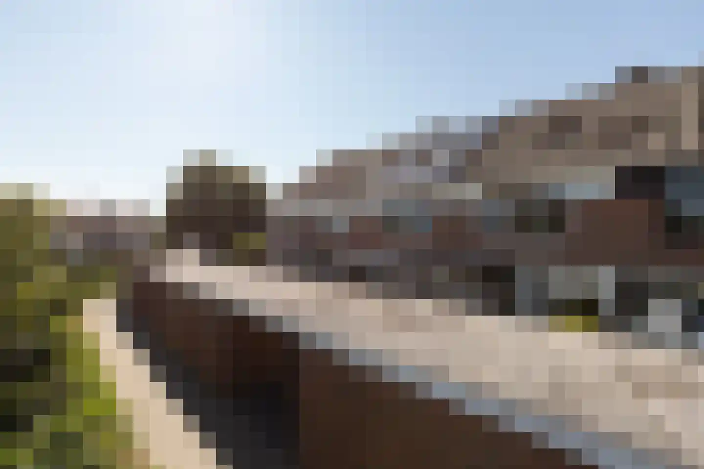Commanderij 51 Sneek thumbnail 42