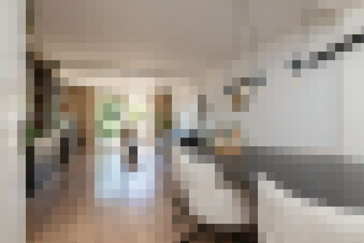 Commanderij 51 Sneek thumbnail 7